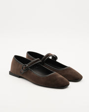 NYS 5493 BROWN