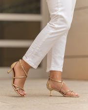 NB 5099 GOLD